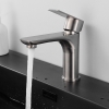 Vòi Lavabo Tròn Tay Vuông Inox 20cm (VLB66)