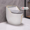 Bồn Cầu Trứng Trắng Nắp Xám Sọc Vàng FORLER (BCT20)